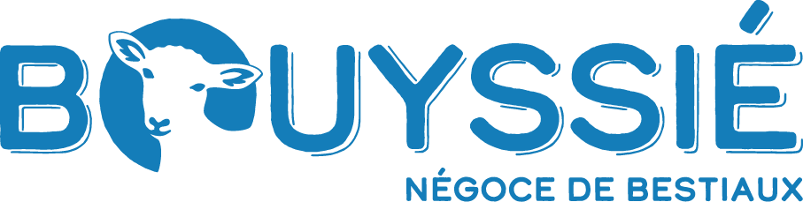 Logo de l'entreprise SAS Bouyssié à Saint Jean Delnous