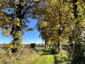 chemin-de-la-clauze-saint-jean-delnous