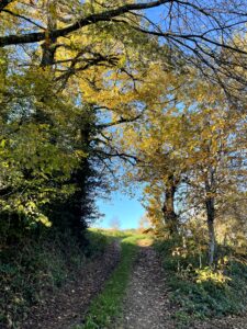 Chemin de randonnée sur la commune de Saint Jean Delnous