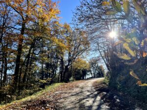 route-saint-jean-delnous